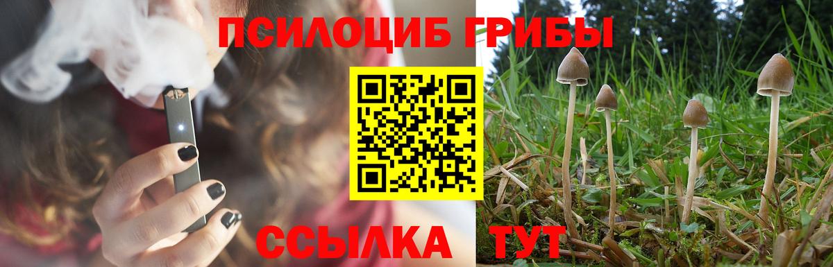 Галлюциногенные грибы GOLDEN TEACHER Краснокамск